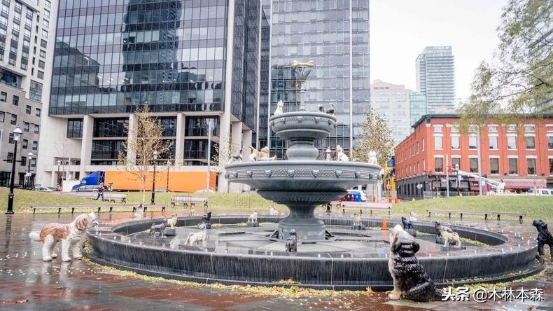 加拿大旅行日记,多伦多最佳生活日记