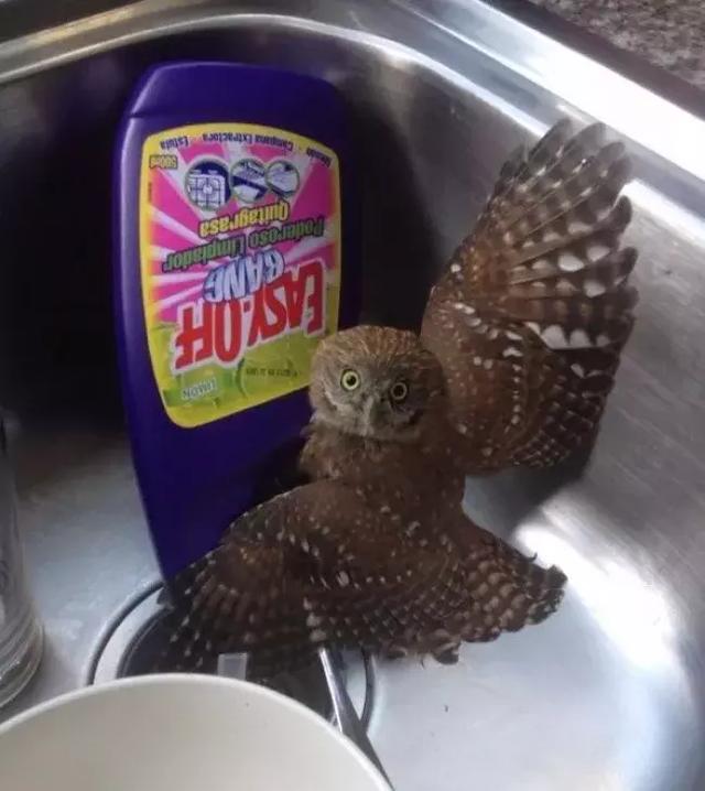 网友一不小心发现的10个神奇物品