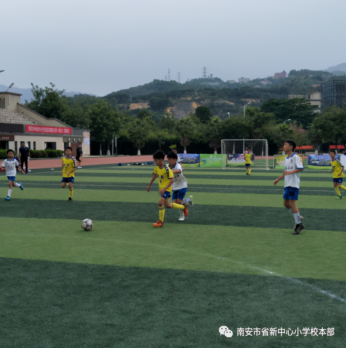 泉州小学足球联赛,泉州市小将夺冠
