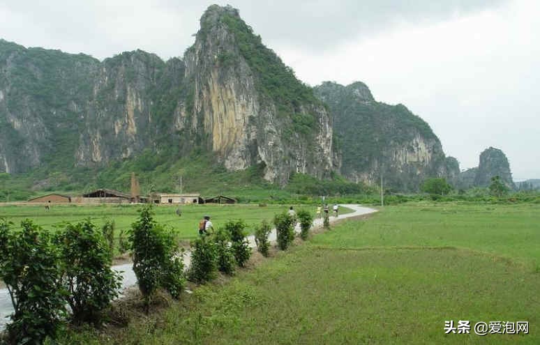 阳春田园风景视频,阳春春湾镇风景视频