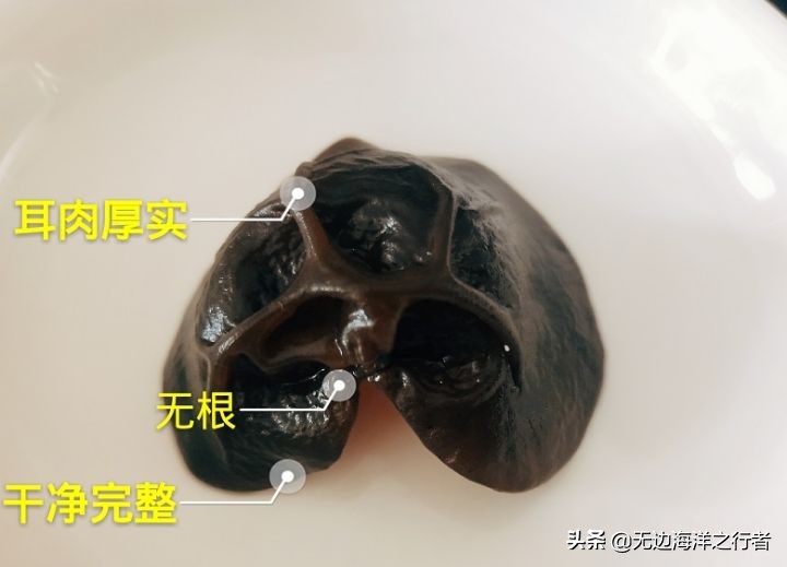 2022年3月1日黑木耳批发价格行情,黑木耳惠农网的批发价多少