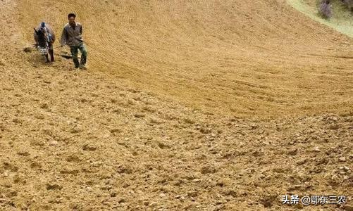 为什么都不愿意当农民,为什么大家都喜欢当农民