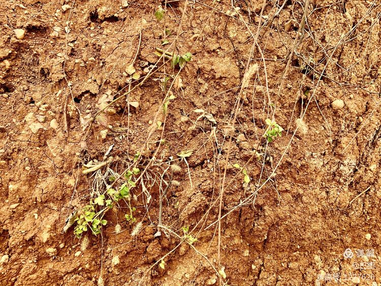 洛阳市宜阳凤凰岭射箭,宜阳县凤凰岭体育基地
