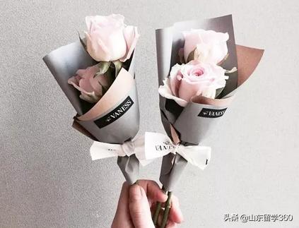 加拿大海关最新入境携带物品规定,加拿大海关允许带现金额度