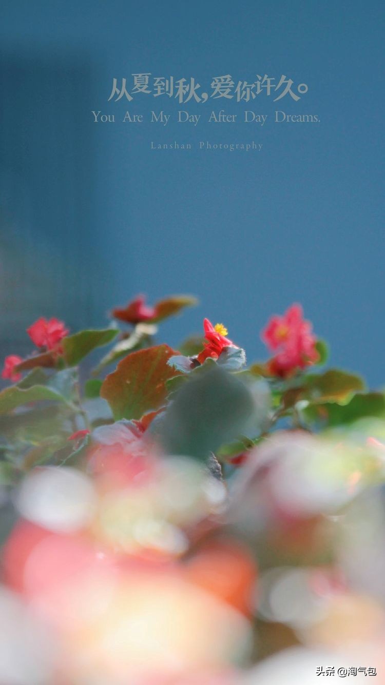 秋分一半热烈一半安详,秋分秋天分两半