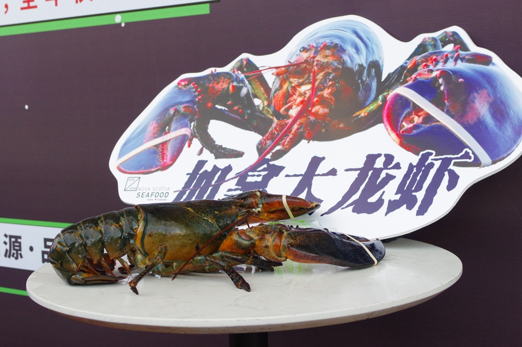 加拿大龙虾怎么吃熟的,加拿大生猛龙虾的正确吃法