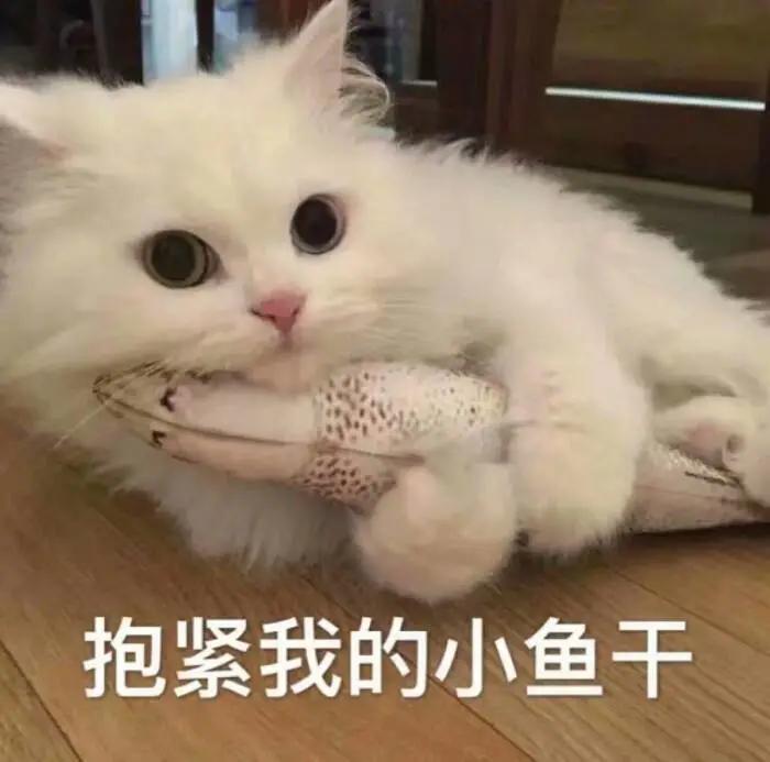 女生不回消息怎么追到她,女生不回你消息怎么办幽默