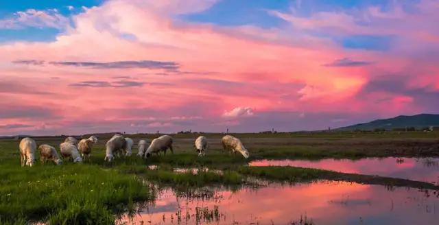 夏日来内蒙古寻觅一处清凉 (去内蒙古感受大草原的浪漫)