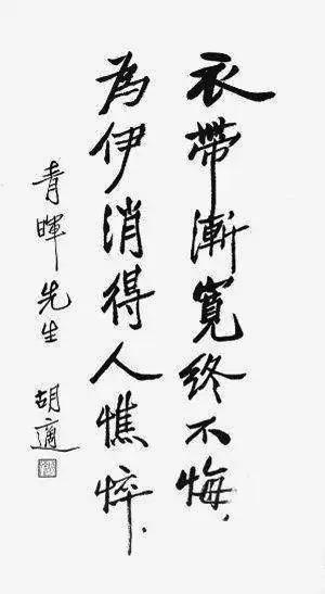 胡适是国学大师吗,胡适是华罗庚的老师吗