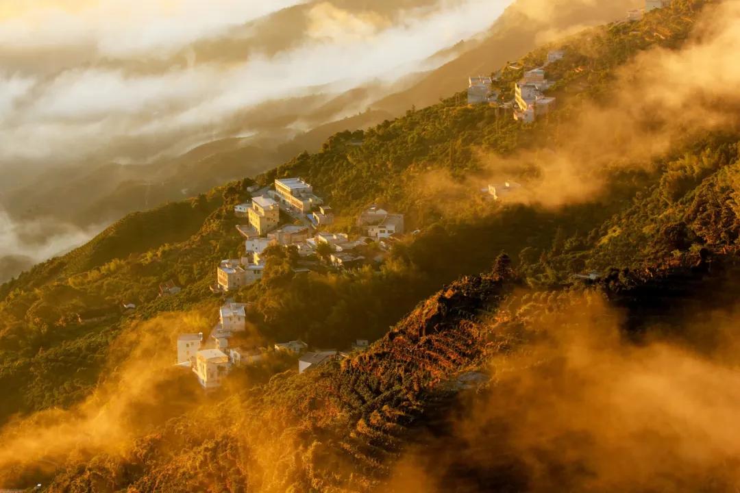 潮州传统茶室,潮州古城老街有一家茶馆