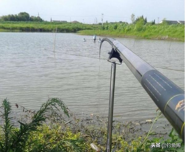 各种鱼竿怎么选,如何选择合适的鱼竿