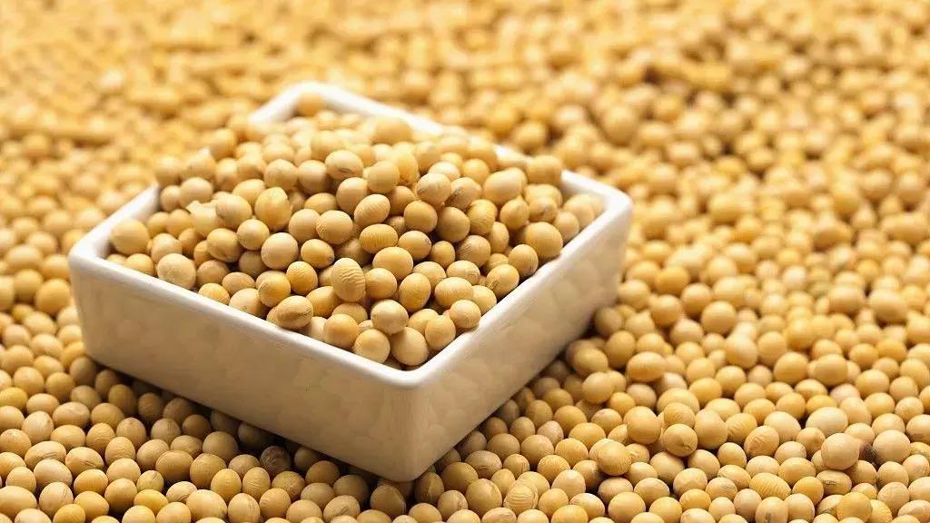 合则两利斗则两伤是谁说的,合则两利斗则俱伤怎么说