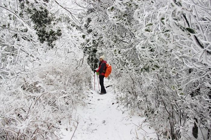 这个户外圣地，火到不需要打广告