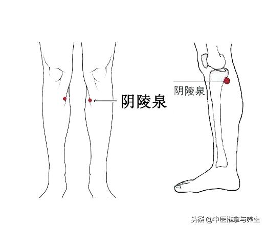 体内水湿怎么去除？按揉穴位即可解决！