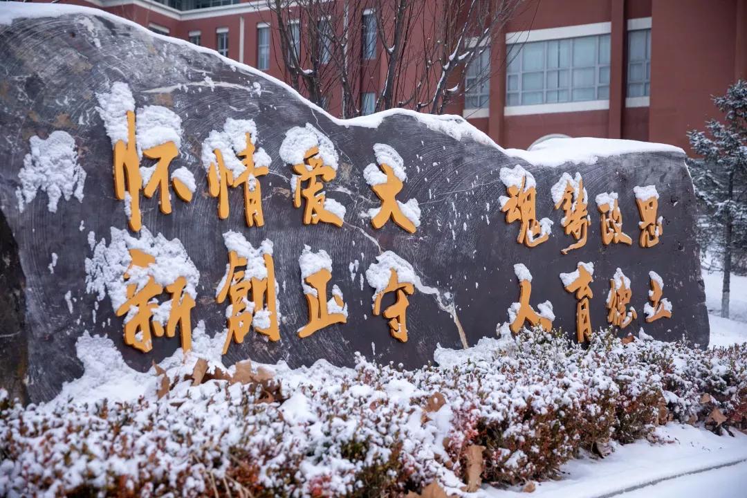 民办学校大连艺术学院全国排名,大连艺术学院辽宁排名