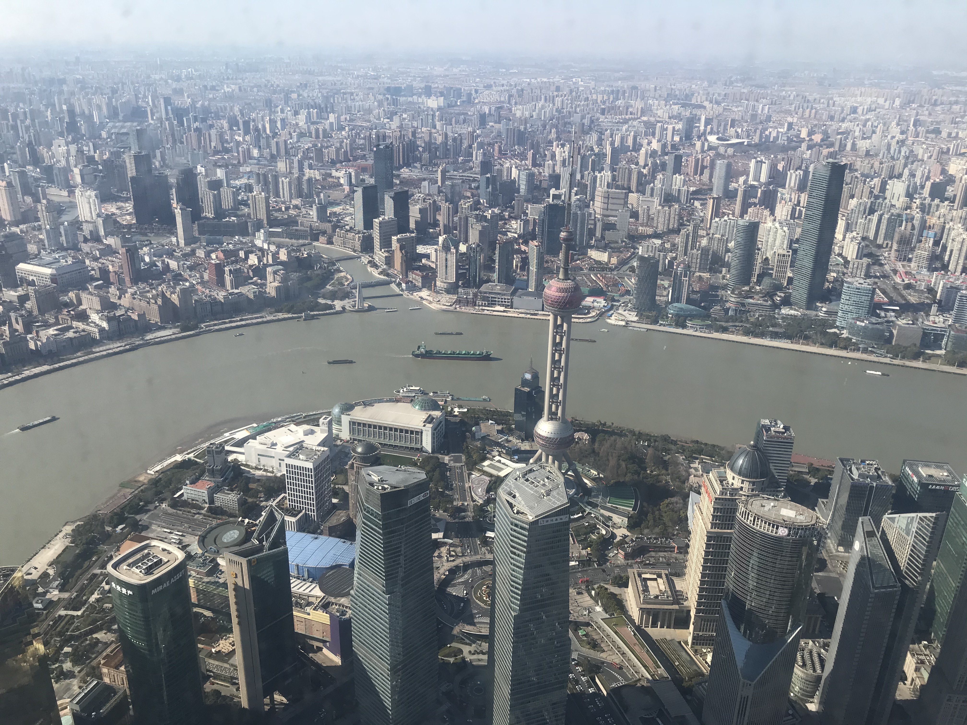 上海的春天视频,上海的春天美景