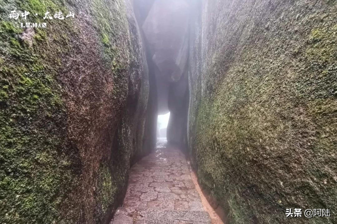 海上仙都太姥山阅读,福鼎太姥山5a景区海上仙都