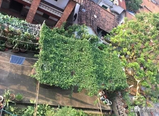 莆田市出租屋,莆田租房现代风