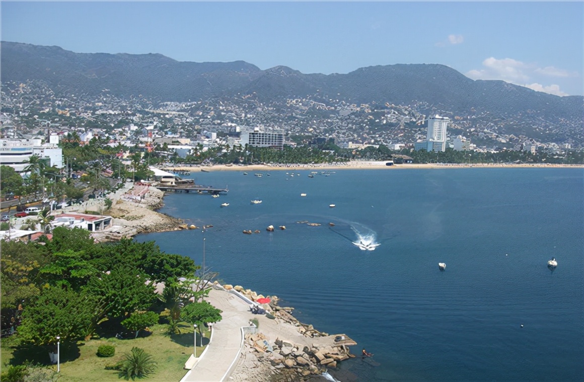 爱吃仙人球的国家,最喜欢吃仙人掌的国家是墨西哥