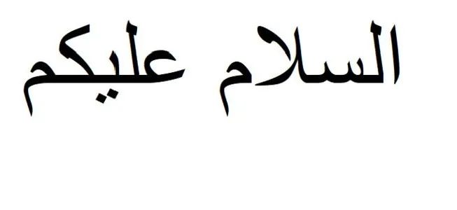 陕西小语种专科学校,陕西学小语种专科大学