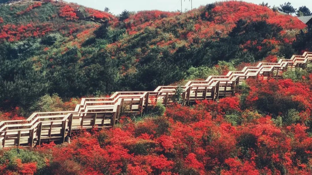 遂昌旅游景点排名前十,浙江省遂昌县经济排名