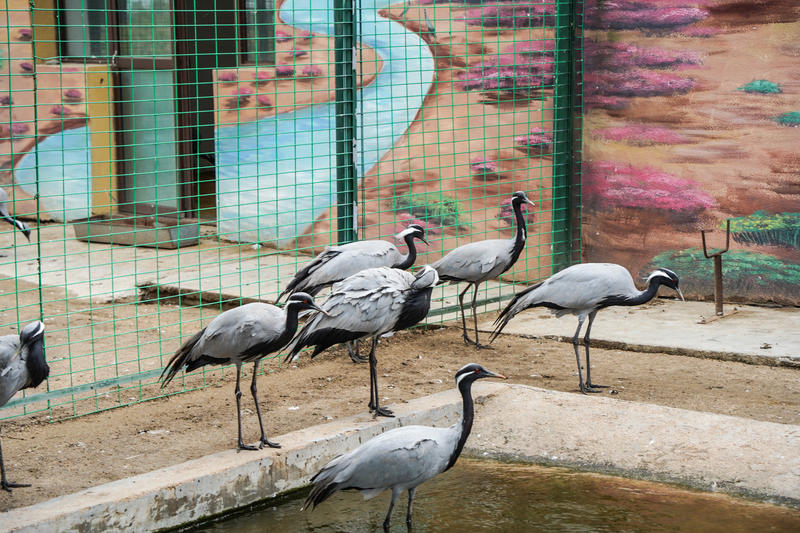 山东周边游2天1夜小众,5.1山东五日游