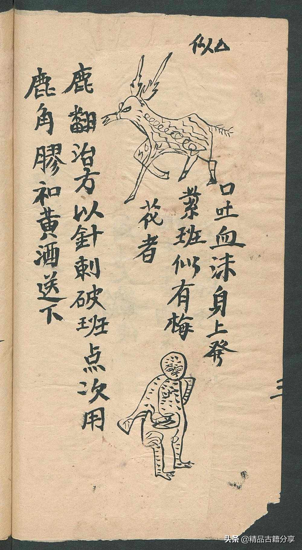 民间中医古籍书籍大全,民间看病书