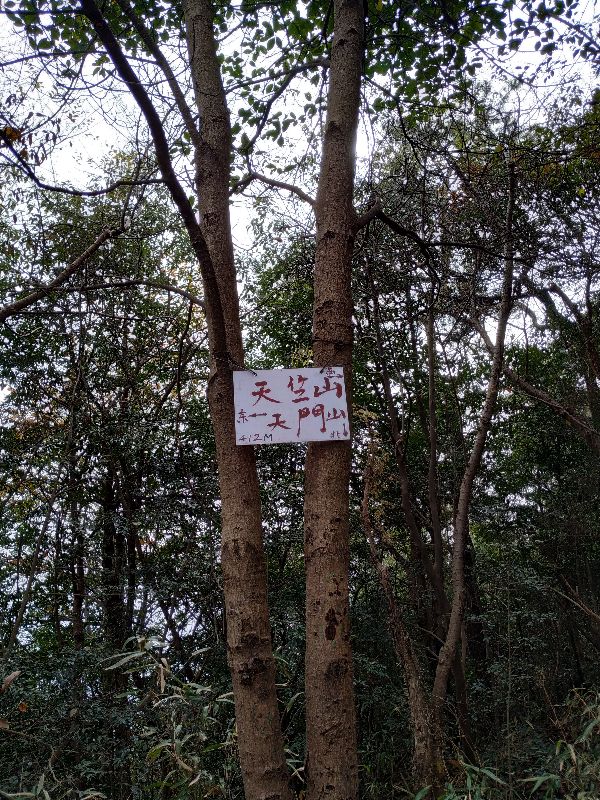 杭州市周末自驾游去哪里好玩,杭州出发周末旅游攻略