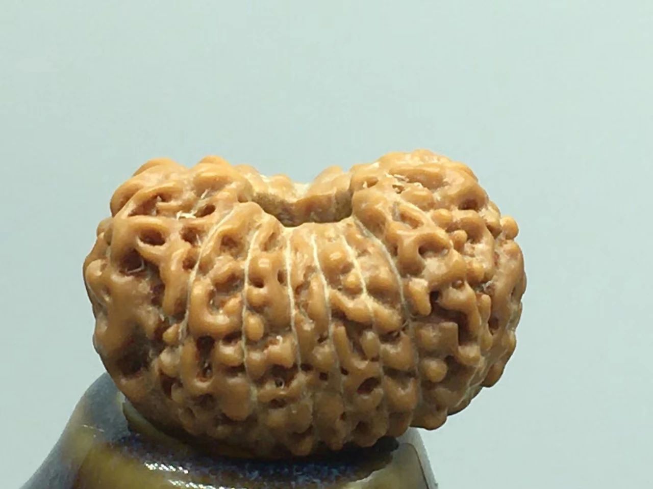 5瓣和6瓣金刚哪个值钱,金刚几瓣的最有价值