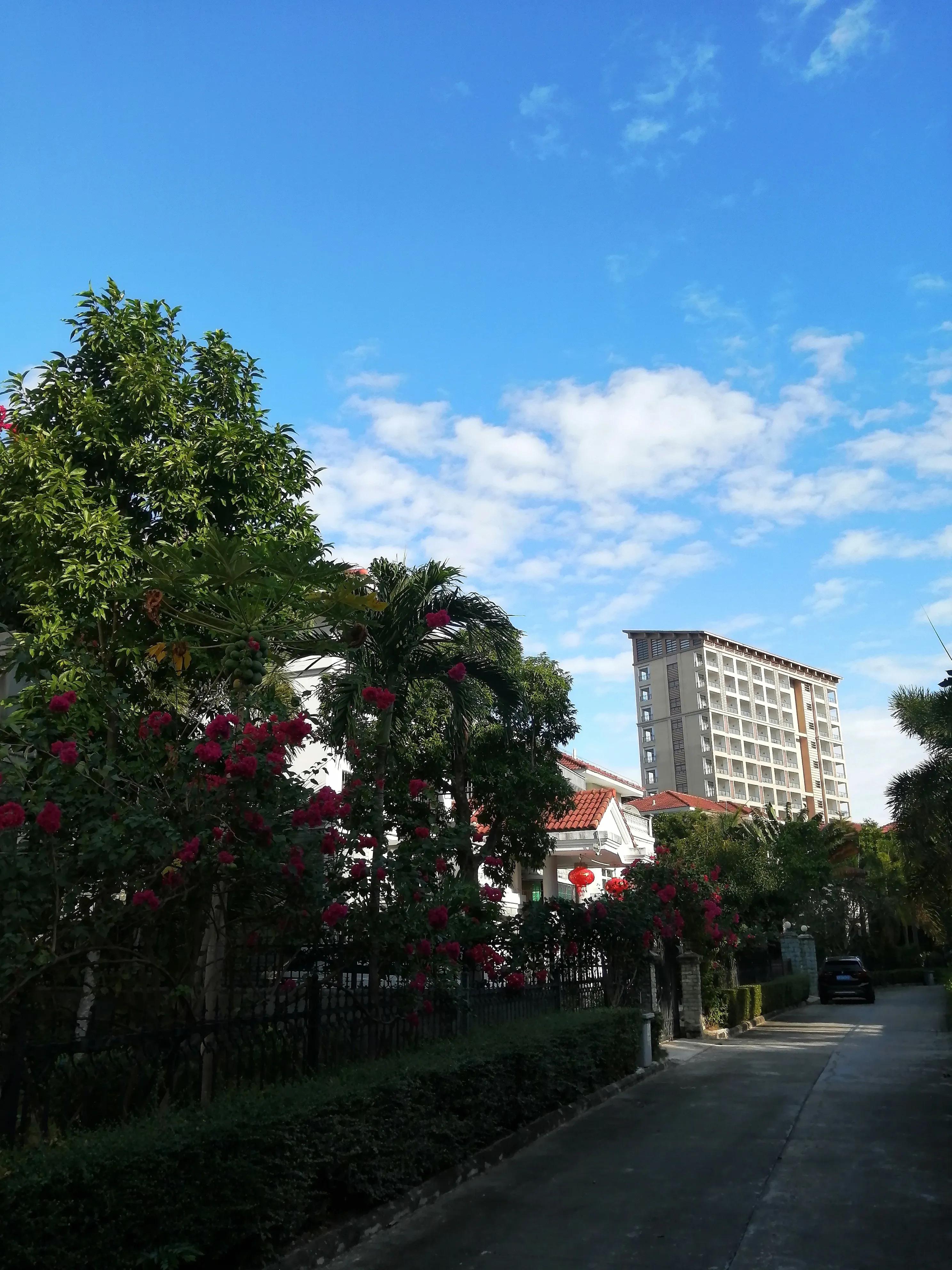 三亚vs西双版纳哪个好,三亚和夏威夷哪个好