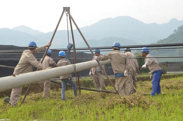 电线杆占用农民耕地怎么赔偿,电线杆占用农田赔偿标准找谁要