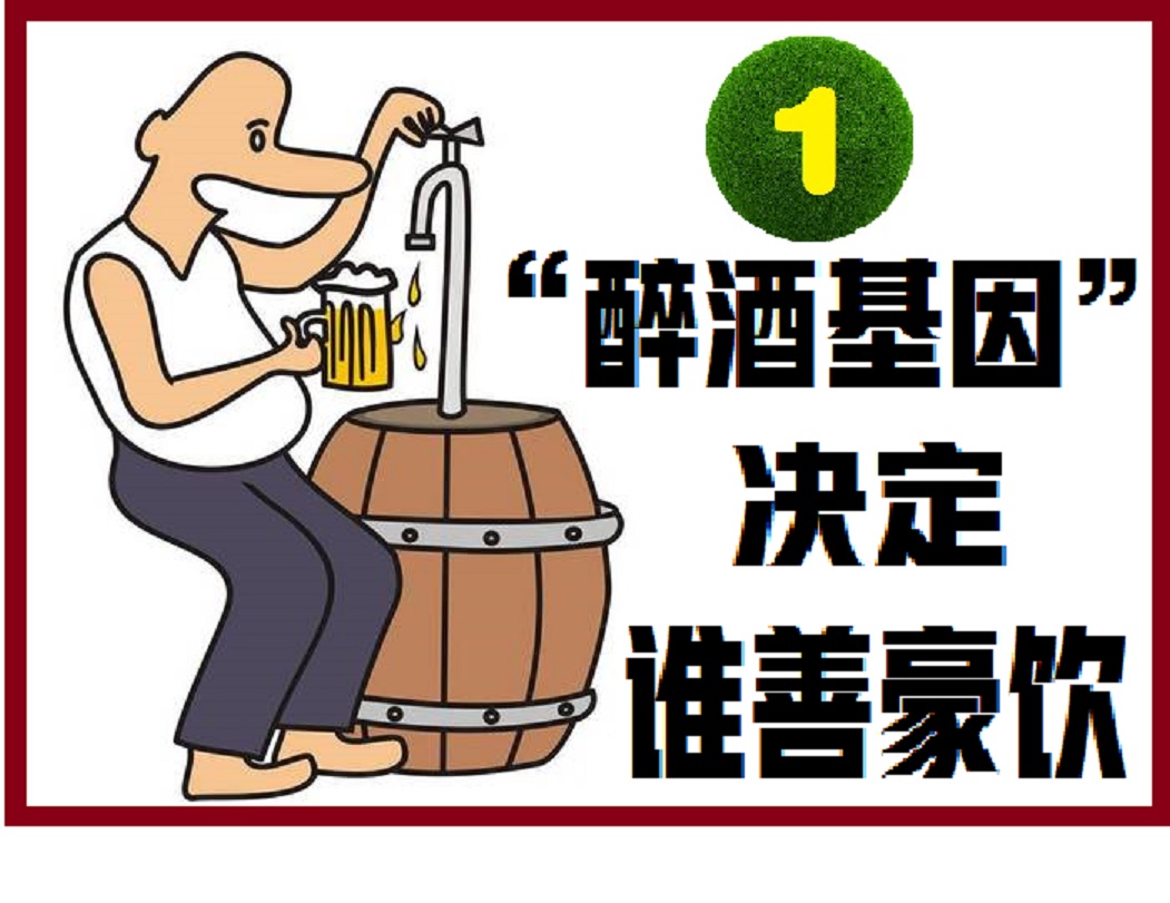 基因是人类的“酒司令”