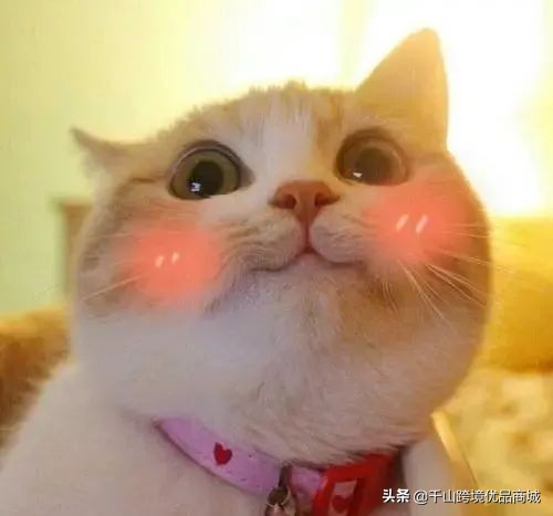 澳洲必买的药品,居家必备最全药品清单