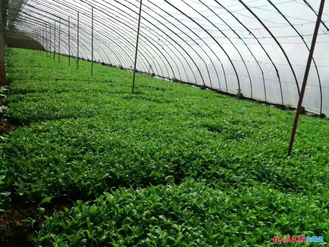 临夏县创业担保贷款详细流程,甘肃临夏市创业贷款在哪里贷