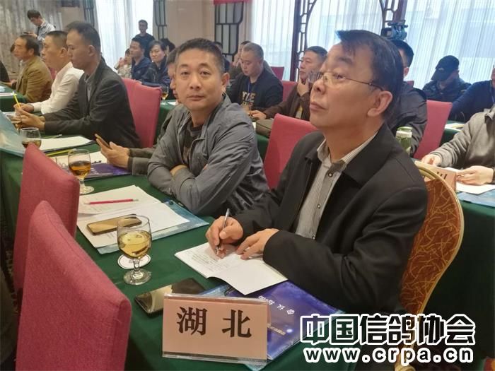 中国信鸽协会各地鸽会,惠州市信鸽协会电话