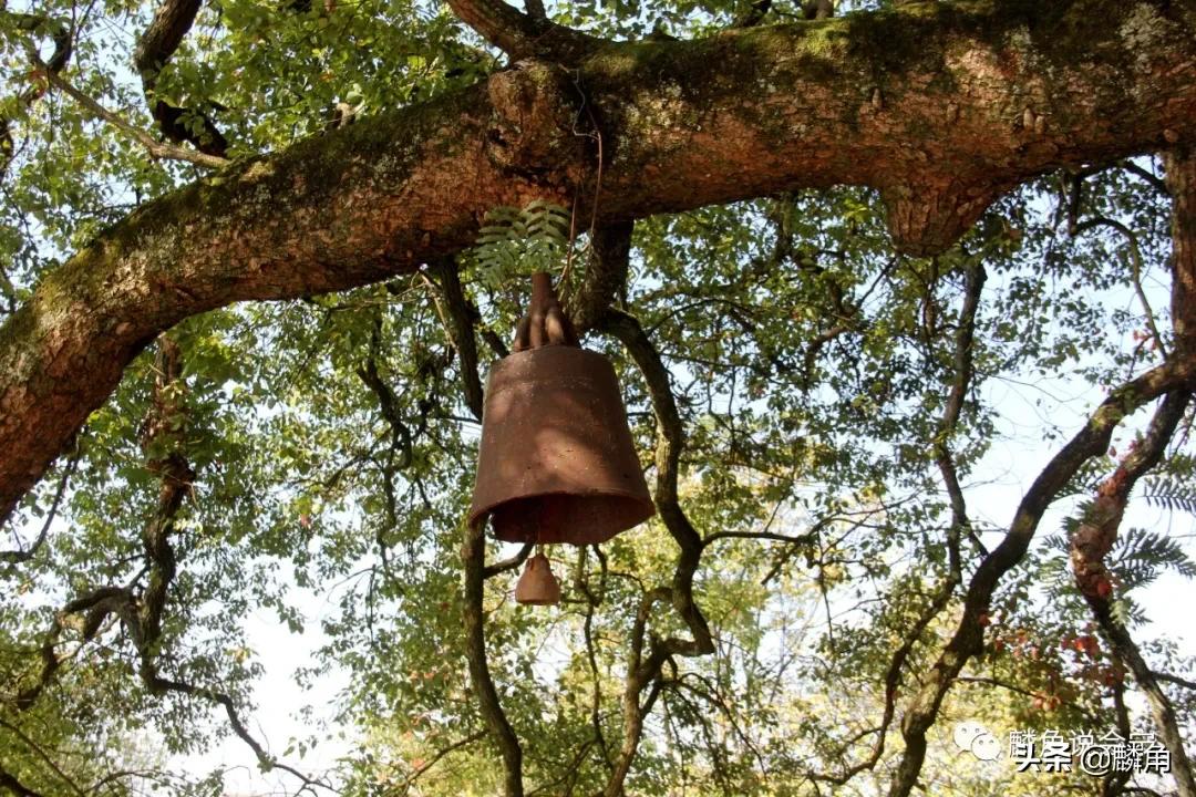 瑞金共和国摇篮景区的感受,瑞金共和国摇篮景区一日游