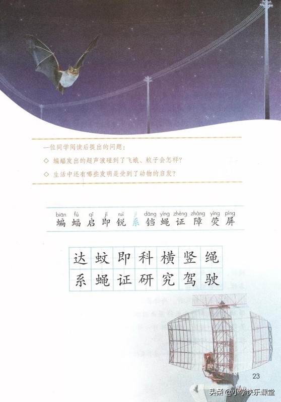 四年级上册语文蝙蝠和雷达课后题,部编版四年级上册语文蝙蝠和雷达