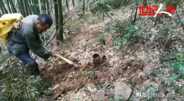 中草药市场乱象视频,中草药骗局揭秘最新