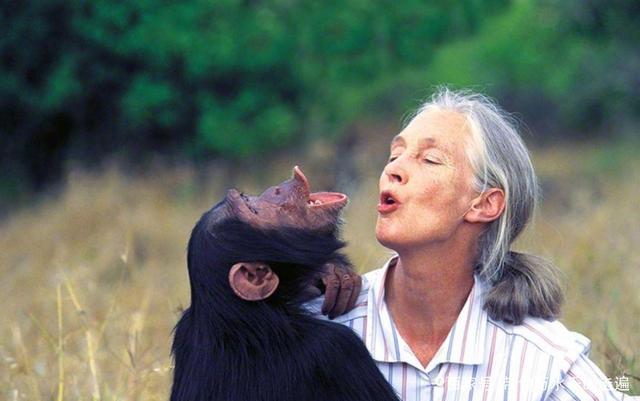 希望的理由,希望的理由小说