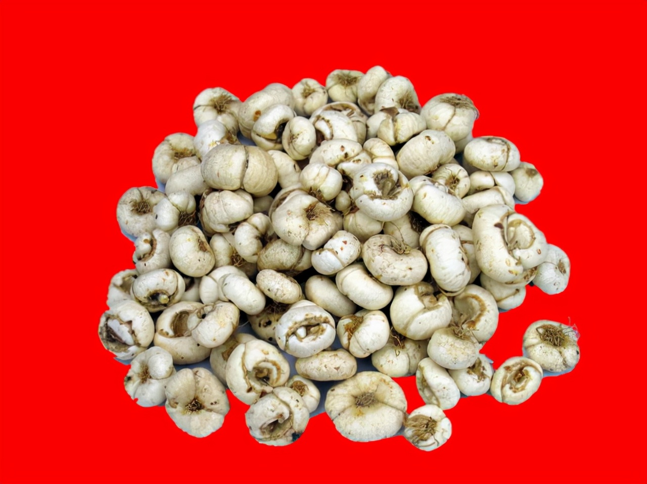 吉林地理标志农产品,吉林省23个国家地理标志农产品