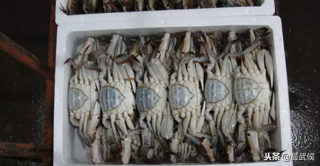 成都批发市场哪里最便宜,成都哪里有批发便宜货的