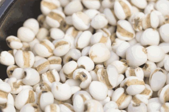 脾胃不好的女人吃什么最好,女人脾胃虚弱吃什么药