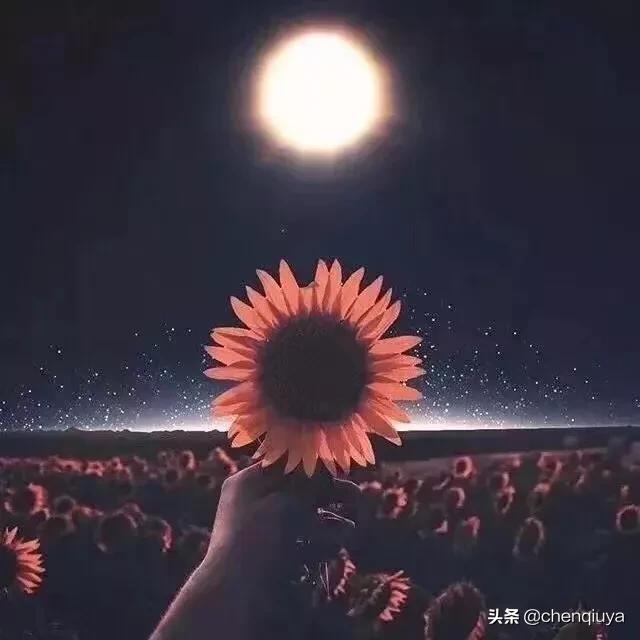 人生陷入绝境如何应对