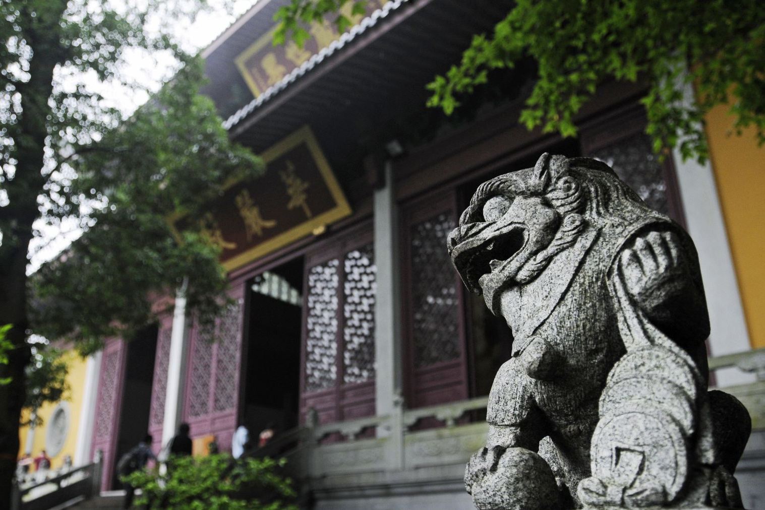 灵隐寺本科学历,灵隐寺本科生