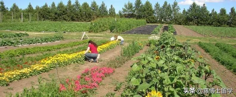 你需要了解的20个问题,国家发布的十大新兴专业