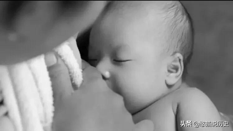 海里的哺乳动物是如何喂奶,海洋哺乳动物是怎么呼吸的