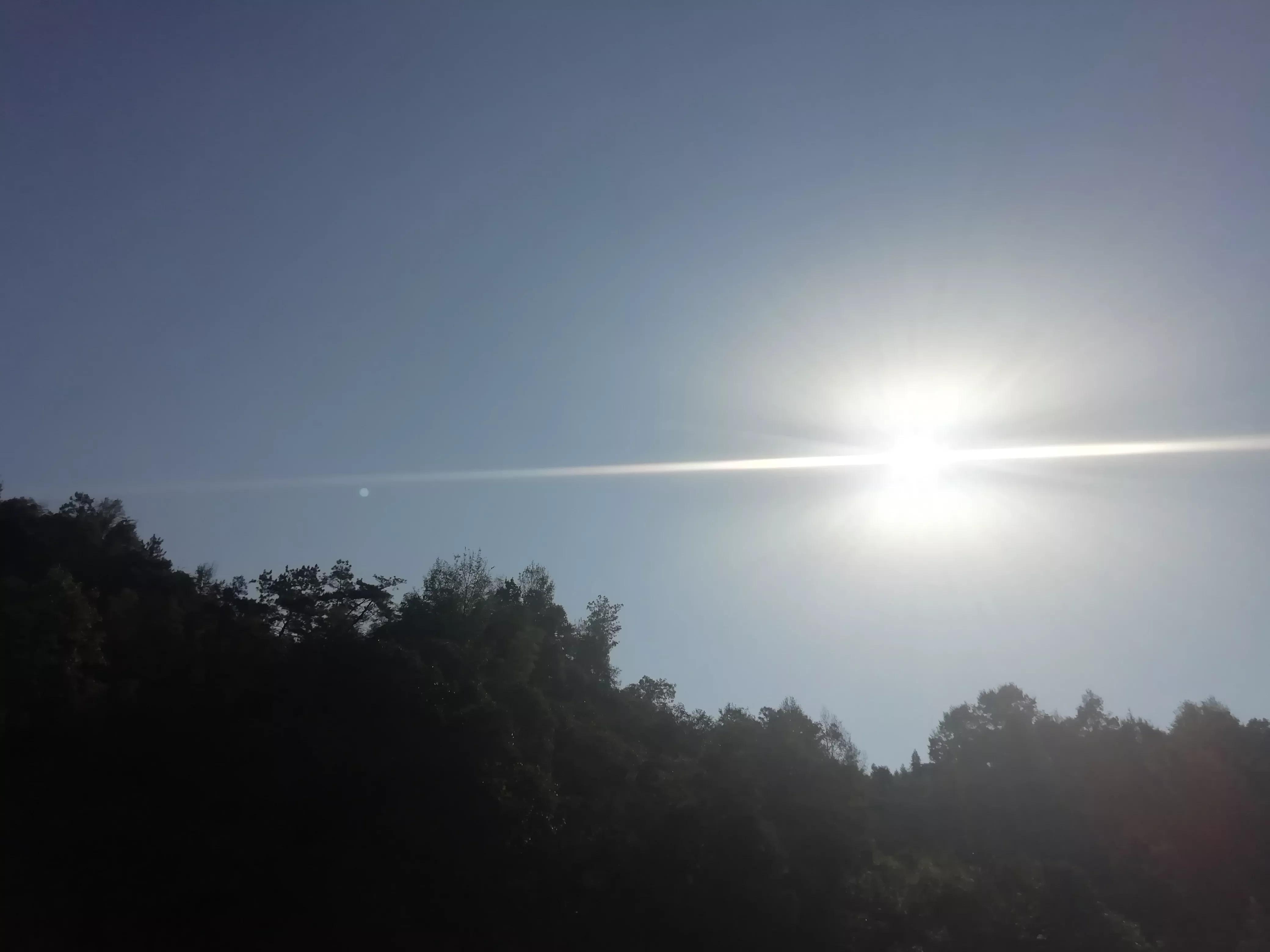 怎么样获得真正的自由？