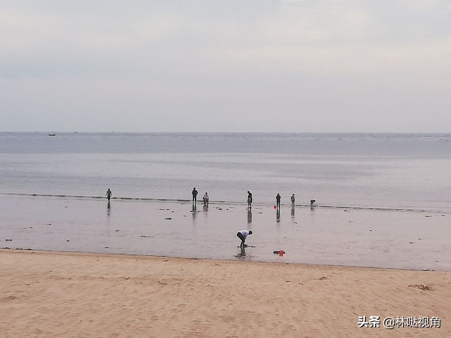 乳山生蚝养殖基地观光,乳山哪里可以养殖牡蛎