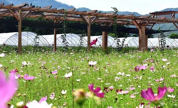 农业农村部推荐景点,农业农村部推荐景点公示