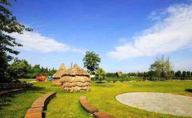 农业开始机械化发展,机械化农业未来发展趋势